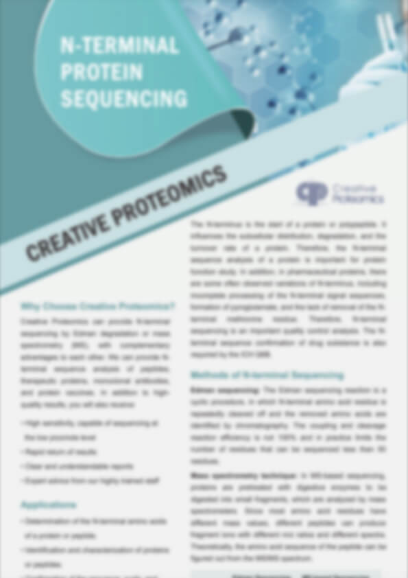 N-Terminal Protein Sequencing