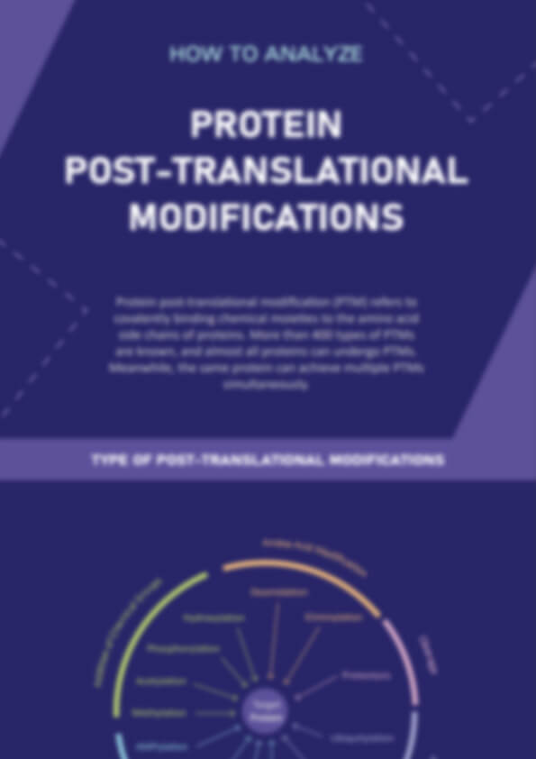 Protein Post-Translational Modification Analysis