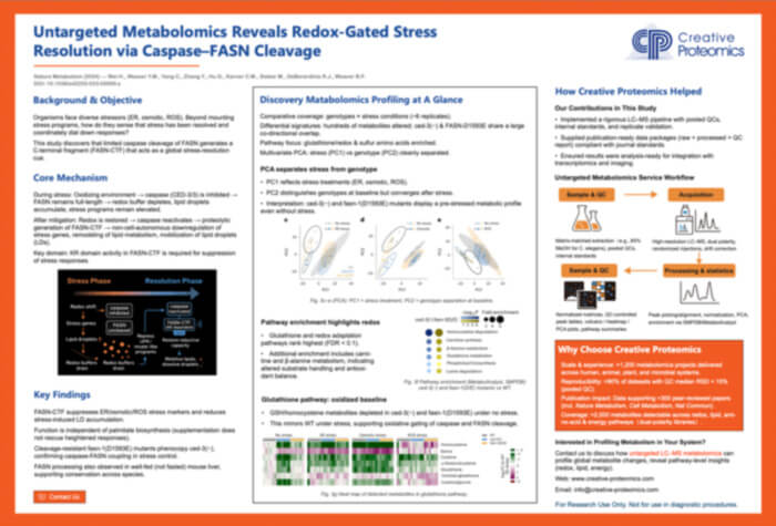 Untargeted Metabolomics Maps Redox-Gated Stress Resolution