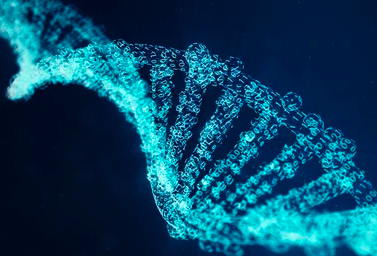 Venom genomics data analysis.