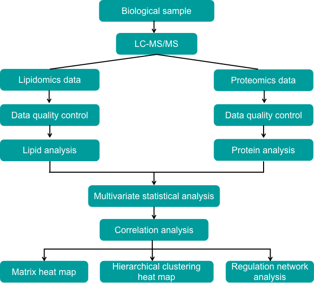 Lipidomics and proteomics integrated analysis process - Creative Proteomics