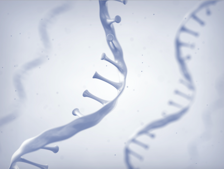 Integrated analysis of transcriptomics and metabolomics.