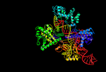 Integrated analysis of lipidomics and proteomics.