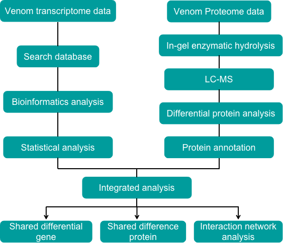 Transcriptomics and proteomics integrated analysis process - Creative Proteomics