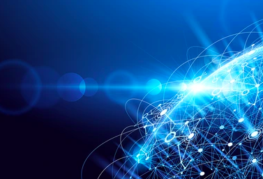  Integrated analysis of transcriptomics and lipidomics.