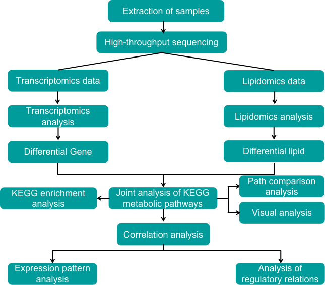 Transcriptomics and lipidomics integrated analysis pipeline - Creative Proteomics