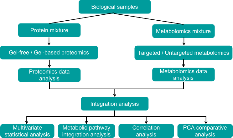 Proteomics and metabolomics integrated analysis pipeline - Creative Proteomics