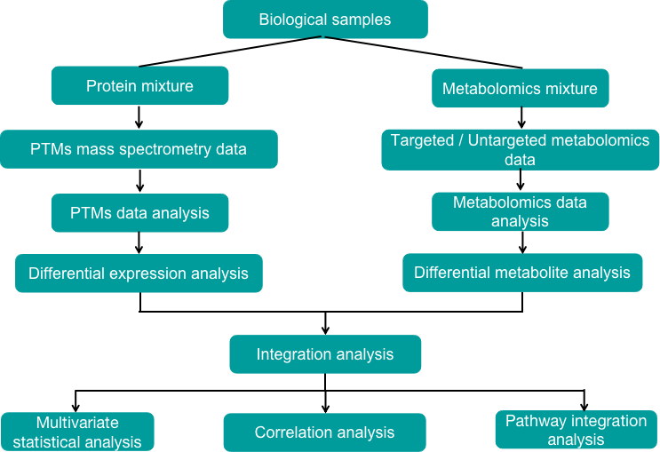 PTMs omics and metabolomics integrated analysis pipeline - Creative Proteomics