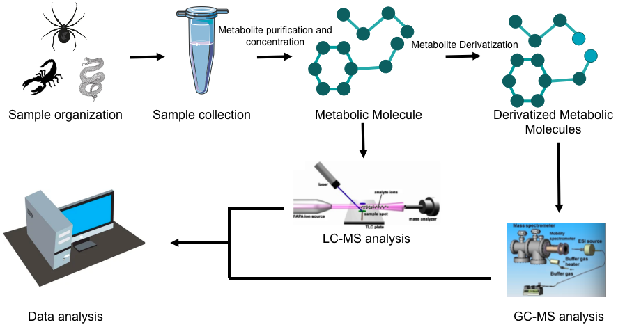 Creative Proteomics venom non-targeted metabolomics studies pipeline. - Creative Proteomics.