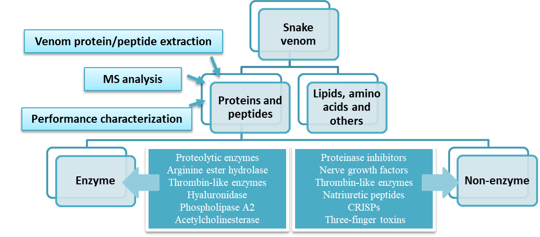 Snake Venom Composition Analysis