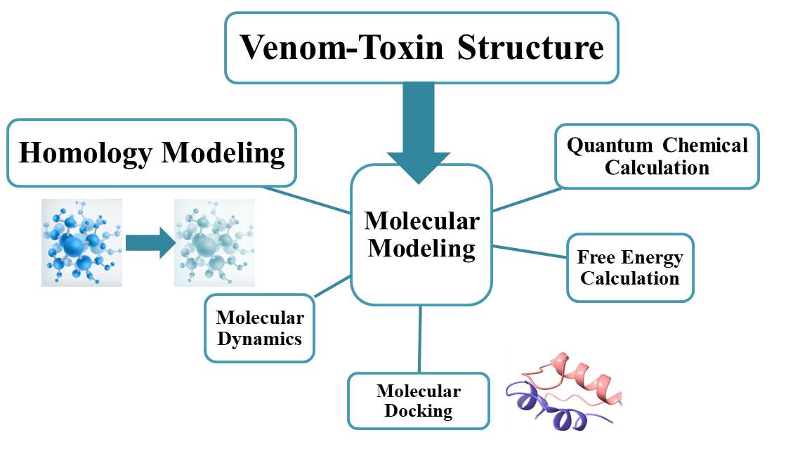 Structure and Function Prediction of Venom Toxin