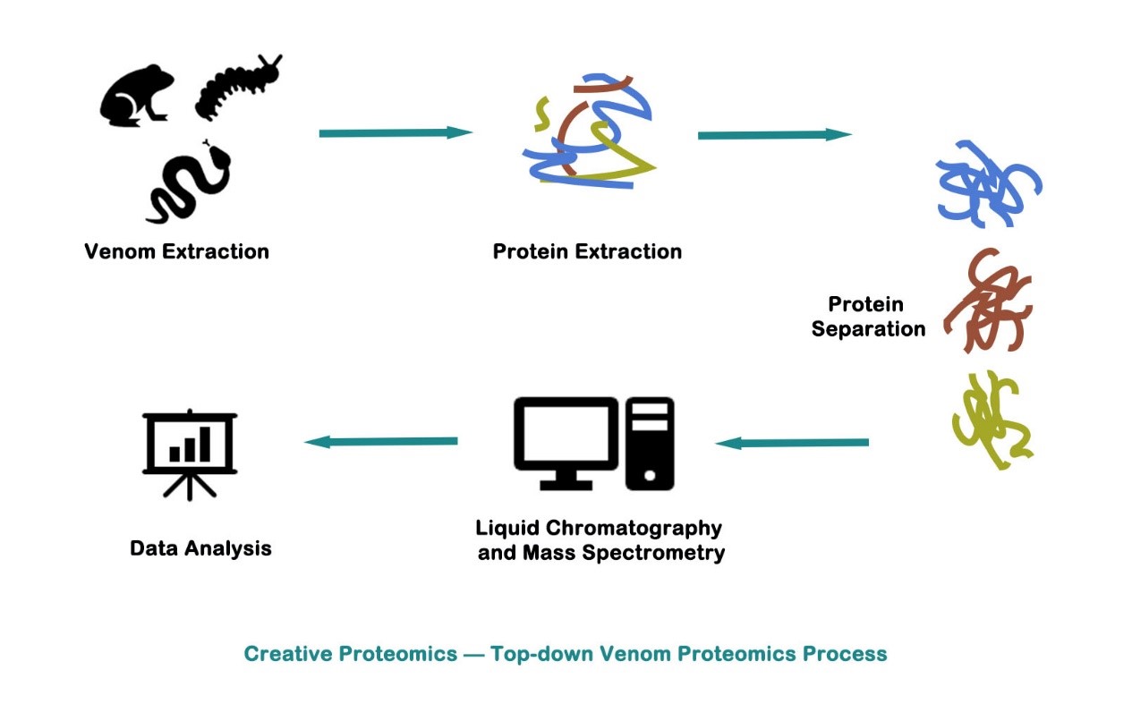 Top-down Proteomics in Venom