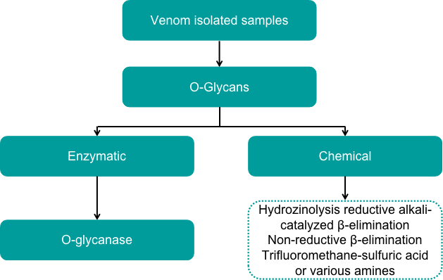 The general process of sample preparation in O-Glycan analysis. - Creative Proteomics.