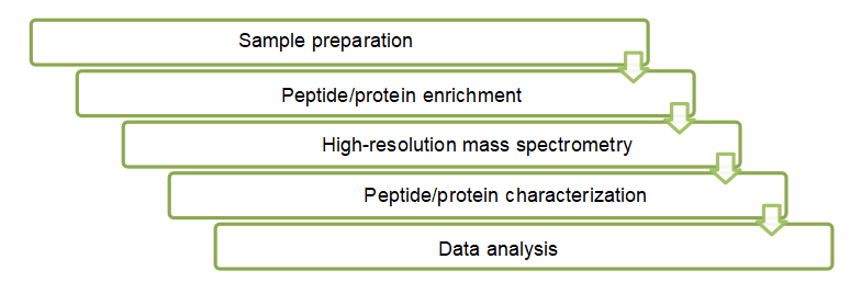 Research Process of Venom Peptidomics and Proteomics Services