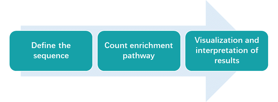 Enrichment Analysis Scheme