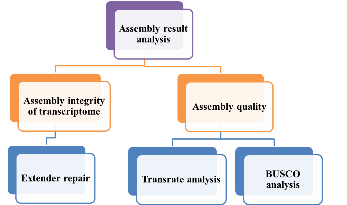 Venom Transcriptome Assembly data analysis