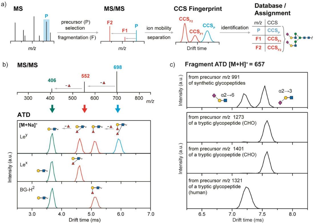 Non-Denaturing Dynamic Conformational Mass Spectrometry in Biomedical Research